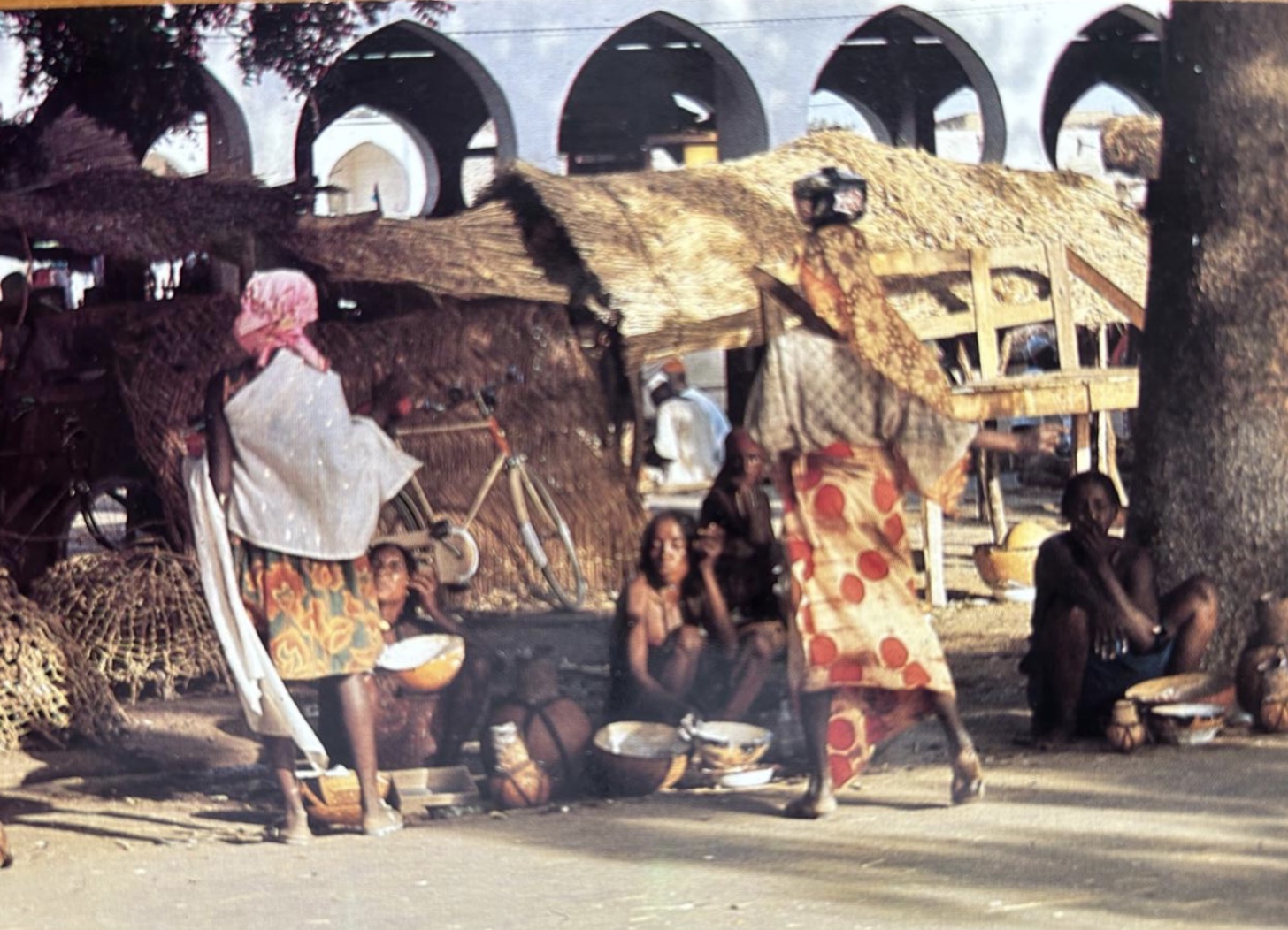 My Journey to Africa, the Homeland of A. Hannibal