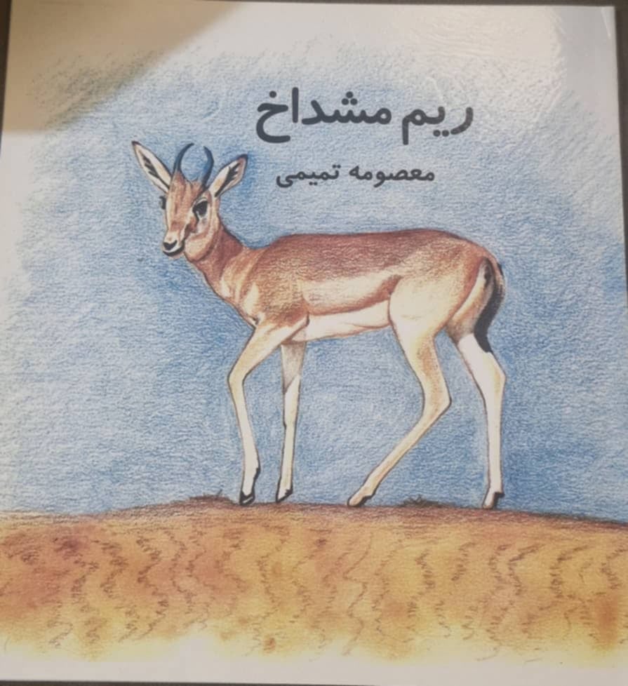 “ريم مشداخ” | جمالية البناء وكنز المعارف