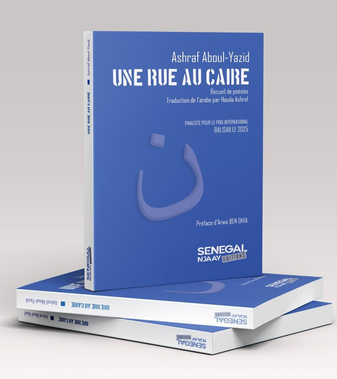 قريبًا: شارع في القاهرة … بمعرض الكتاب الإفريقي في باريس 