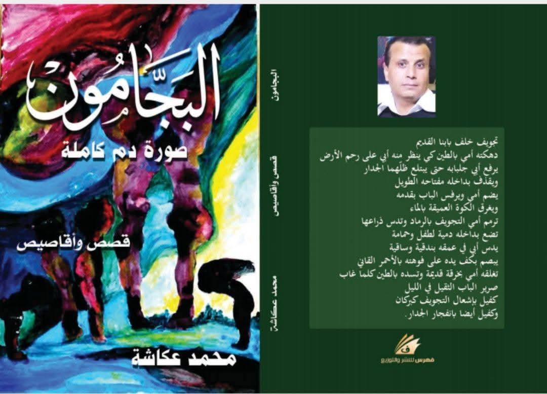 البجامون.. صورة دم كاملة للمبدع محمد عكاشة: القص والحكاية في مرآة الفن التشكيلي